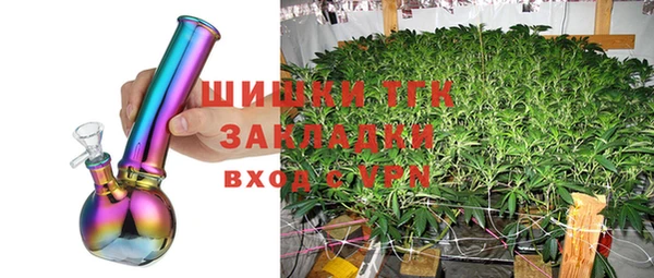 прущий лед Абаза
