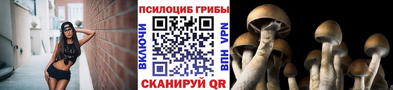 Галлюциногенные грибы Magic Shrooms Агрыз